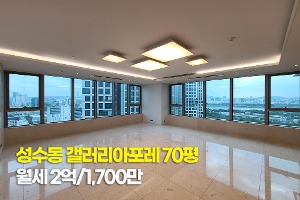 성수동 갤러리아포레 70평
